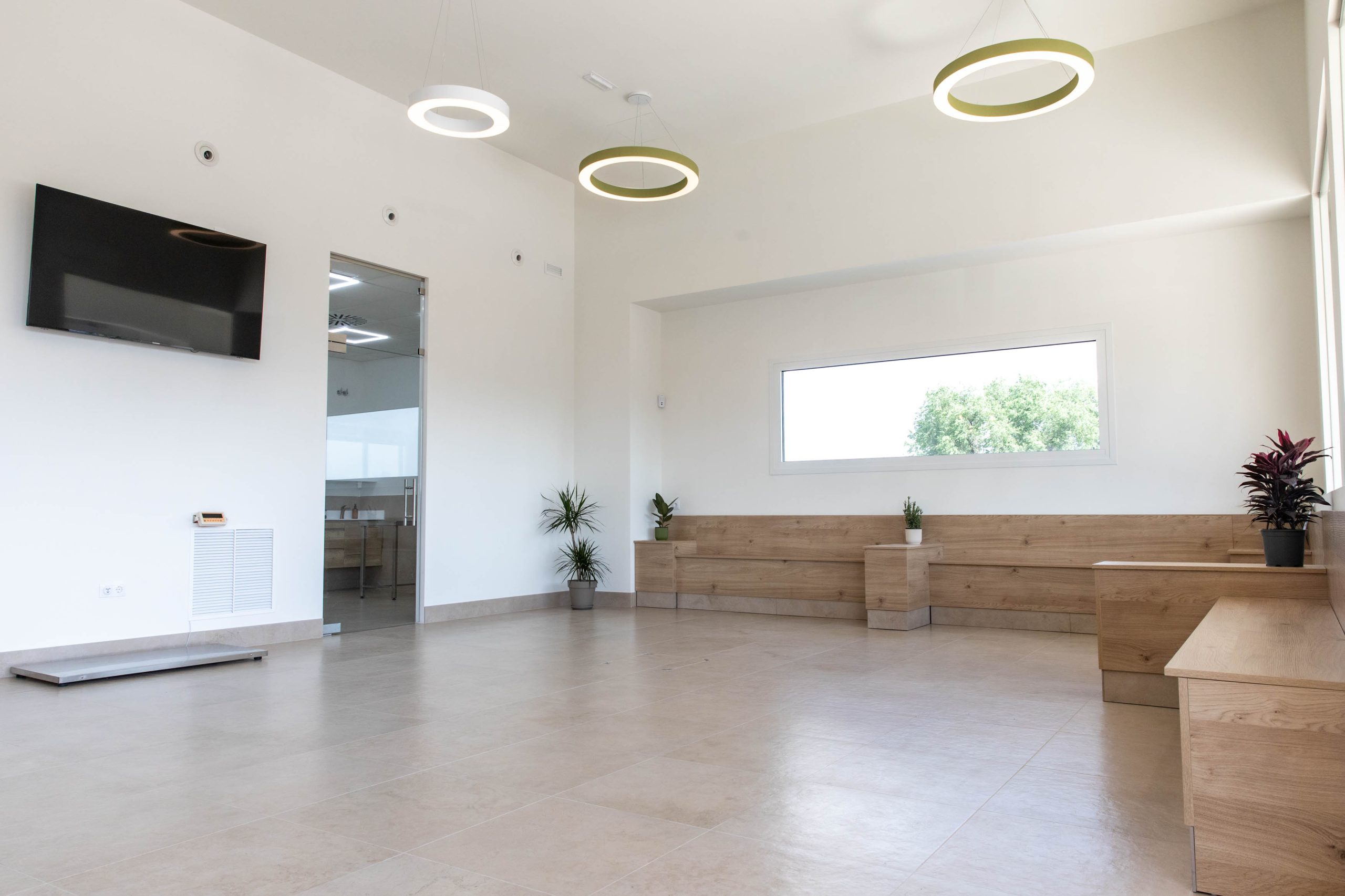 Instalaciones de la clínica veterinaria MuyVet en Illescas — foto 3