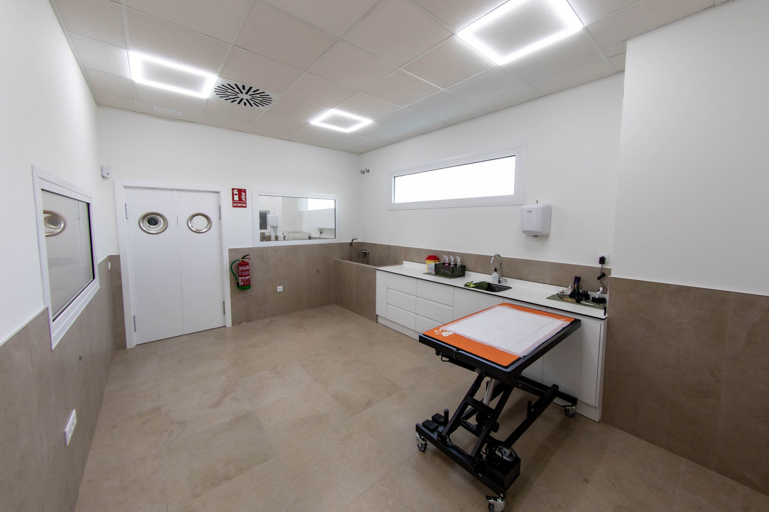 Instalaciones de la clínica veterinaria MuyVet en Illescas — foto 16