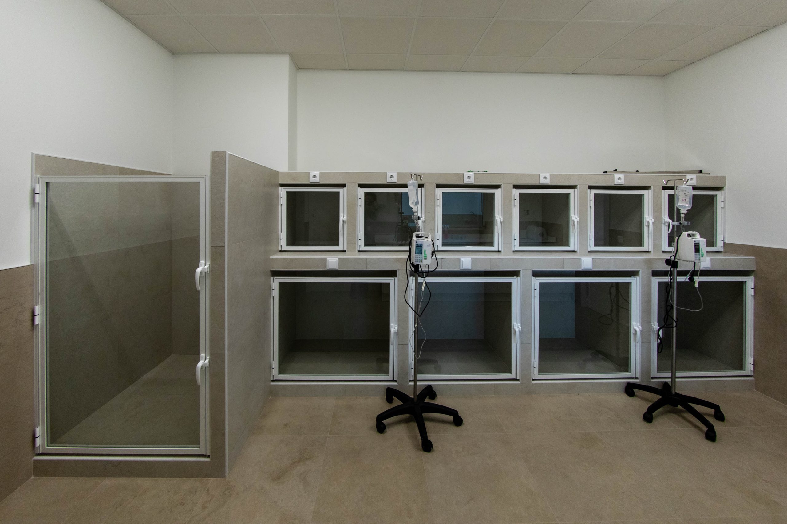 Instalaciones de la clínica veterinaria MuyVet en Illescas — foto 17