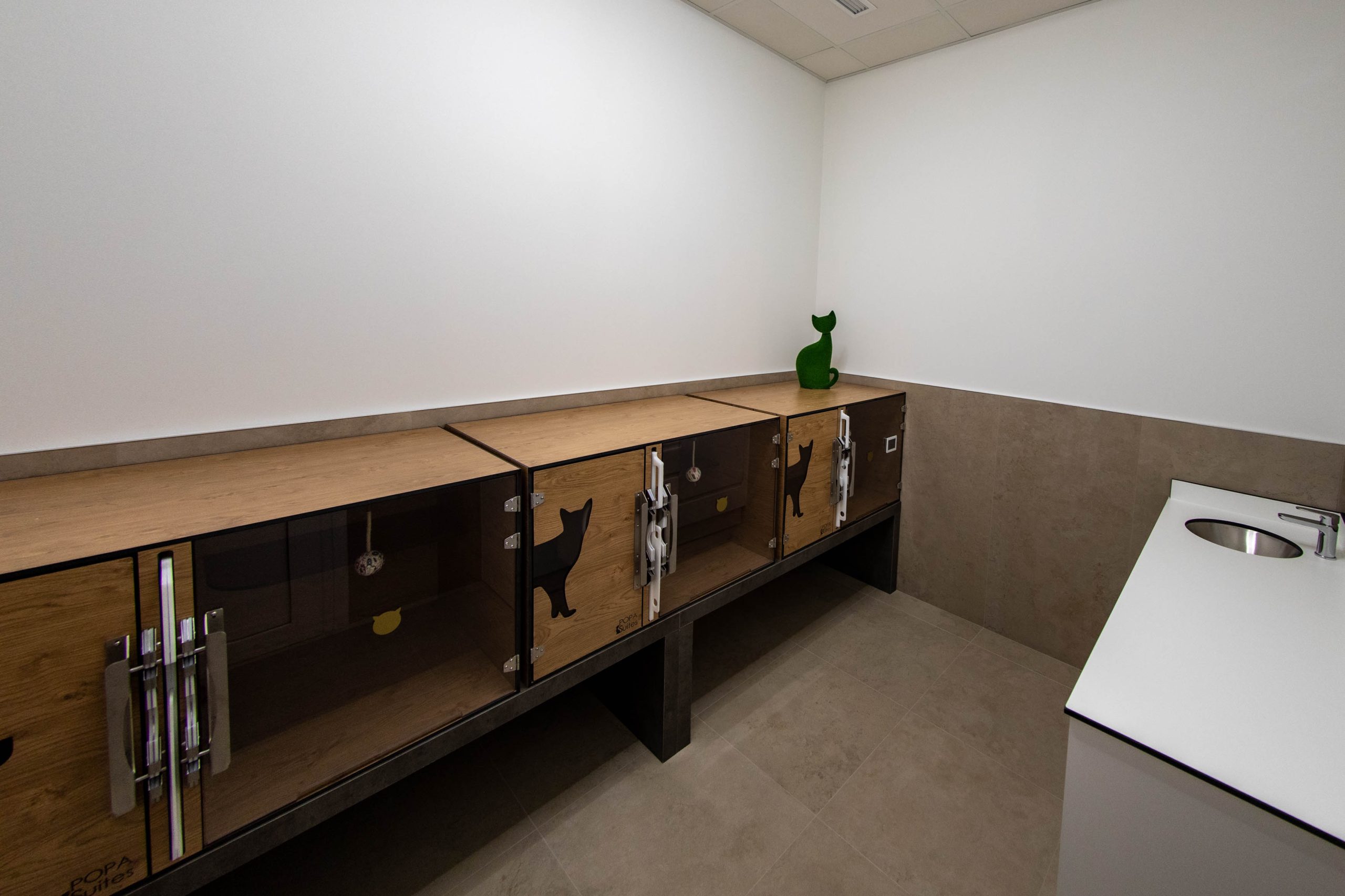 Instalaciones de la clínica veterinaria MuyVet en Illescas — foto 19